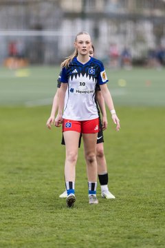 Bild 209 - wBJ Hamburger SV - Eimsbuettler TV : Ergebnis: 4:0